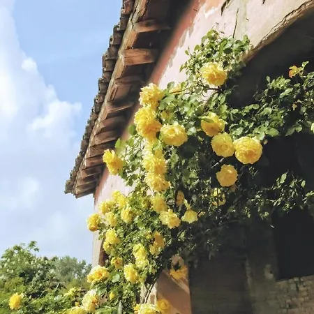 Vendégház L'andito Carpi