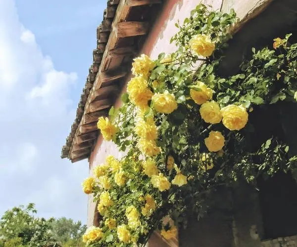 Pensjonat L'andito Carpi